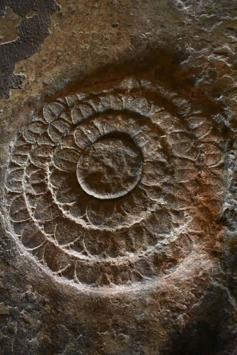 Spirale gravée dans la pierre ancienne — la mémoire qui s'enroule sur elle-même