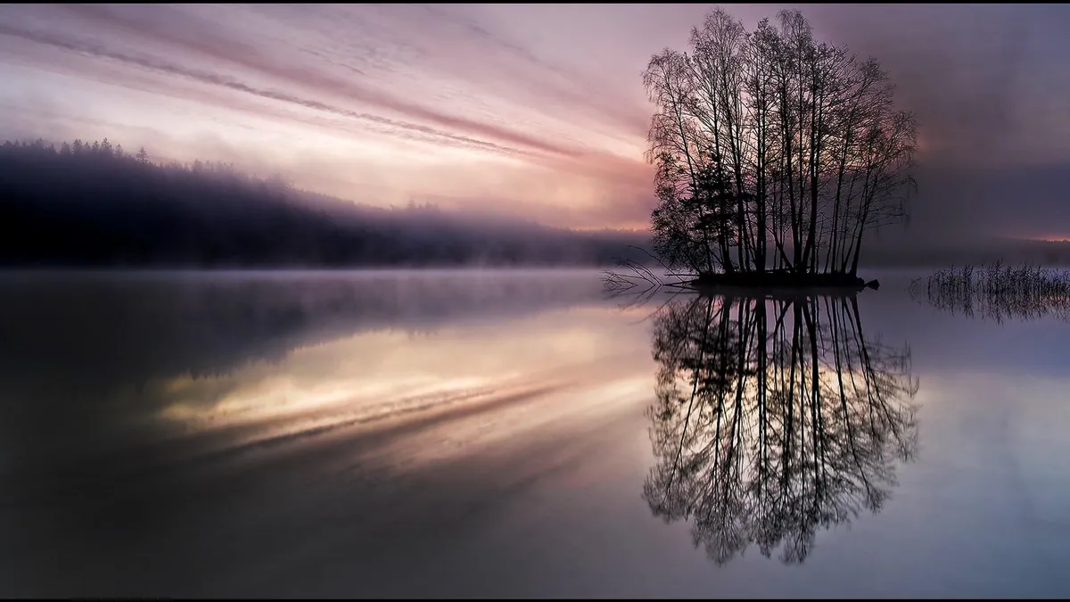 Îlot d'arbres reflété dans un lac brumeux à l'aube